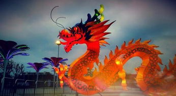 2026年属龙的人运势会非常好吗？这是否意味着他们的整体运势将特别旺盛？