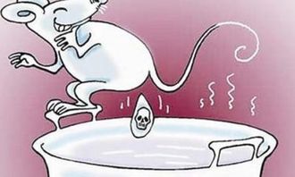 女人梦见老鼠屎财运如何改变，有没有什么方法可依提升运势？