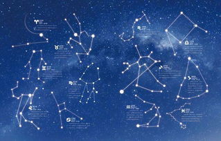 研究背景与意义