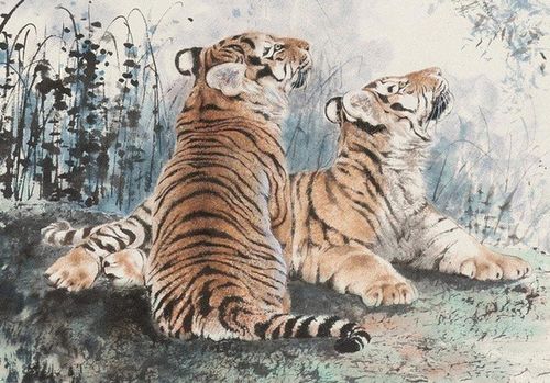 敢想敢说打一生肖，难道不是生肖虎吗？