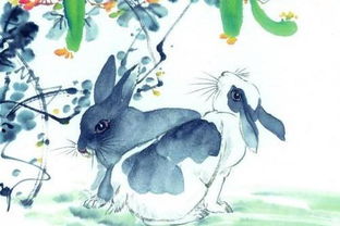 1987年属兔人立秋后运势如何，终身运势具体是什么意思？