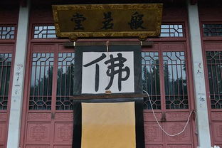 二、  禅修活动性费用的动态性与差异化解析