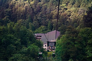 在风水学中，山上随意埋葬是否合适？