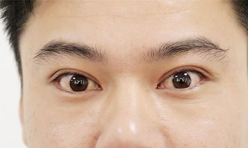 1. 肝肺机能与长寿体征的内在逻辑