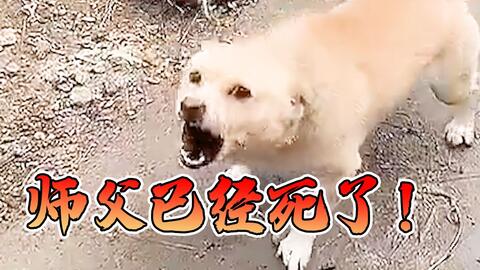 三、  物证关联与疑点丛生：真实相之下的迷雾