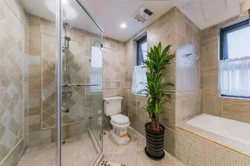 别墅卫生间布局对居住舒适度与便利性的系统性影响研究