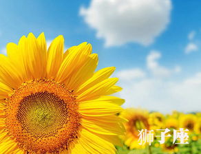 一、 那些让人闪瞎眼的吉利字儿