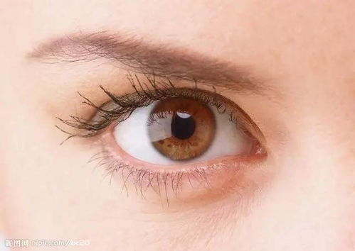 眼周与眉宇之间：视觉吸引力的极致展现