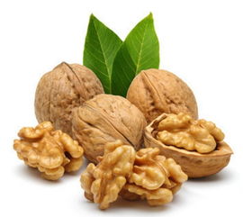 1. 老师医生捡核桃？笑死！根本是职场PUA预警！