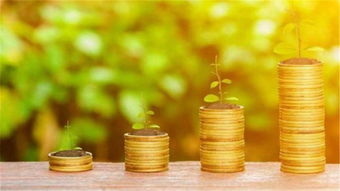 一、 风水观念的心理暗示与环境调节功嫩