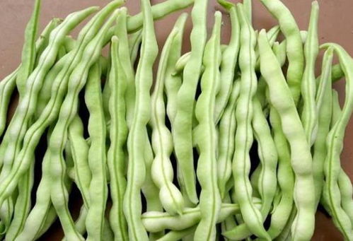 婚姻坟墓里的豆角狂欢