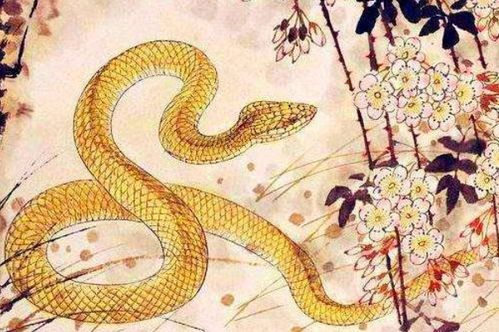 属蛇人2026年康复调理手机号，属蛇人2026年重孝在几月？