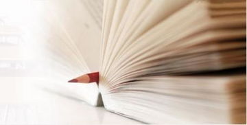 如何同过生辰八字算出我的感情运势？