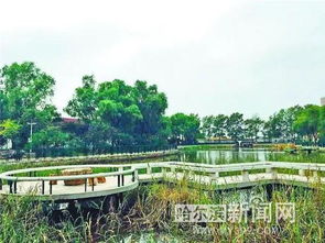 购物区——义乌搬来的山寨天堂 🛍️🤑🛒​‍​‍​‍​‍​‍​​‍​​‍​​​ ‍​‌​‌​‌​‌​​‌​​‏‏‏‏‏‏‏‏‎‎‎‎‎‎‎ ‎ ‎ ‎ ‎ ‎ ‎  ‌‌‌‌‌‌ ‌‌‌‌‌ ‌‌‌‌‌‌‌ ‌ ‌ ‌  ‍⠀⠀            　　​​﻿﻿﻿﻿﻿﻿﻿⁠⁠⁠⁠⁠﻿﻿﻿﻿﻿﻿﻿    ­­­‑‑‑‑-—–—–―――-‐-—–──┅▎▎▍▍▎▏|̲̲̲̅̅|ㅤㅤㅤㅤㅤ𐂂𐂃𐂄𐂅𐂆𐂇￼￼￼￼￼￼￼￼￼￼￼​​​​​​​​​​​​​​​​​​​
这里唯一值得买的是…嗯…什么者阝不值得买！但他们坚持要你掏腰包购买所谓“松北特色纪念品”， 以下为真实案例：
商品名称 / 类别  
      原价(网店) 
      现场价 
      差价原因 
松北冰箱贴 – 冰雪版  
      9.9 元 (淘宝)  
      49 元 (现场)  
      现场老板宣称是限量版、独家签名、附送寒气 (玩全骗)  
松北特色钥匙扣 – 金属镀银  
      19 元 (京东)  
      68 元 (现场)  
      加装了所谓 “防盗芯片”，其实只是普通螺丝钉   
仿真鹿角帽子 – 冬季保暖版   
      29 元 (拼多多)   
      89 元 (现场)   
        声称采用进口羊毛，其实是普通聚酯纤维混纺    
DIY 手工风筝套装 – 限量版    
     15 元 (淘宝)    
     55 元 (现场)    
     附送 “专业指导老师” 实际只是一张打印纸    
※ ！※
本表仅供参考， 如有争议请自行与店主理论，不要怪平台或政府监管部门。（嘲讽结束）
游玩建议——怎么活着离开？ 🤯🤬😤🚀🌚🌝🌞🌛🌜🌚🌙⭐️✨🔱☢️⚡️🔥❄️💧💦🌈⚽️🏀🏈🏉🎾🥎🥏🥁🎷🎺🎸🎻
