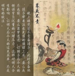 沙因企业 culture 假设之阐释——组织层面深层假设的