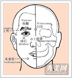 二、 面相气色的判读要素