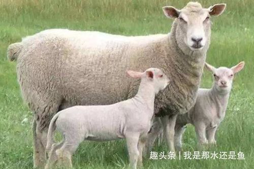 农历9月：人生赢家就是我！