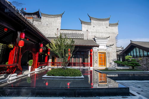 交通攻略：一场惊心动魄的旅程