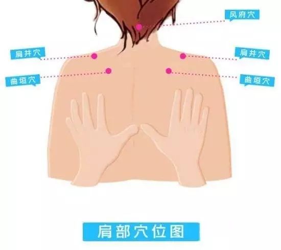 一、 颈部长度与心理特质之间的关联——权力欲望与支配倾向之探讨