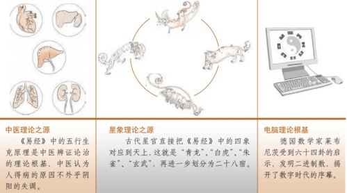 三、 历史脉络：从国内首次讨论会到国际舞台的拓展