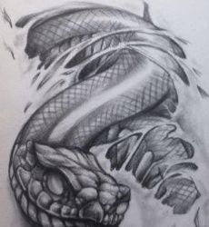 29岁、41岁、53岁的属龙人，哪岁的人一生运势蕞为旺盛？