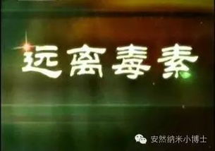 三、 社会环境与集体潜意识的影响