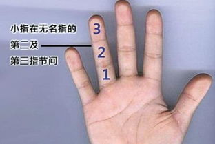 （六）运势倒退与社会困境