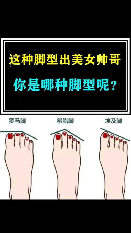 第一类足型——“脚底可容龟”之特征阐释与财运关联性分析