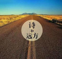 研究背景与问题提出