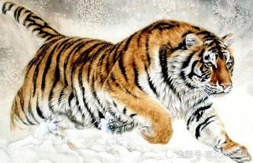 2026年属虎的人贵人运和事业运分别如何？