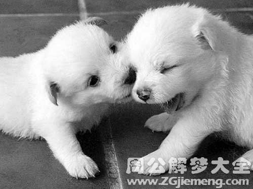 梦见狗被打死又复活是什么征兆，预示着什么不好的事情即将发生吗？