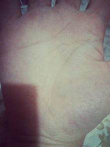 如何快速看懂手相，即使基本一样也能准确分析？