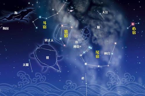 2. 与华盖同宿
