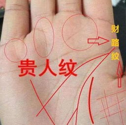 手相学中女性群体财运特征的较深度解析：古代医学与现代化命理学的交汇