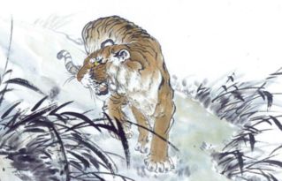 2026年属虎人全年运势和每月运势具体是怎样的？