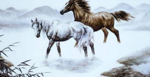 丧到极致的灰色