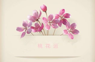 三、 环境因素对桃花运势之潜在影响