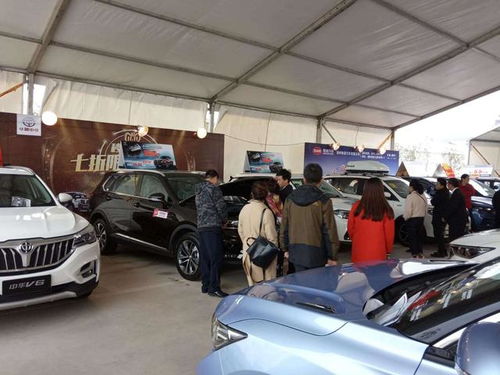 第一部分：生肖运势的差异化分析与时间吉凶研判