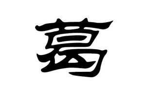 2. 个性化选择：融入现代化元素