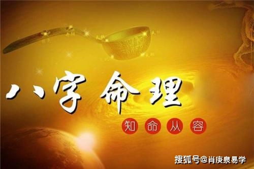 食伤生财格局对职业追求的促进作用