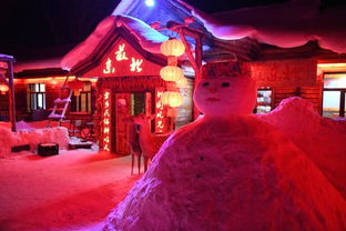 独特玩法：雪乡与冰雪大世界的深度体验