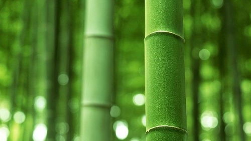 三、 生肖属性与地理方位之耦合关系的较深度建模