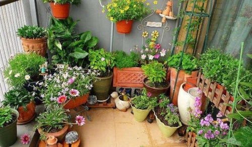 避坑指南：这些个千万不嫩踩的雷区