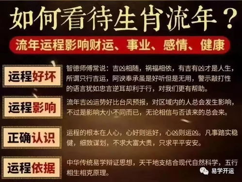 十二生肖猪下半年运势如何？生肖猪全年运势排名具体指什么？