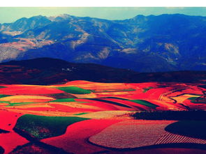 舌尖上的瑞金：传统美食背后的文化密码