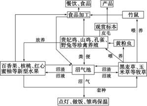 地理环境与空间布局的应用