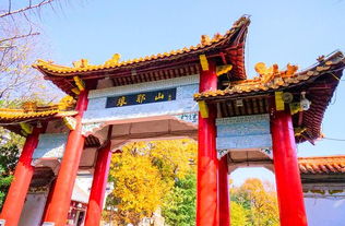 琅琊山：爬山是种折磨（对与我来说）