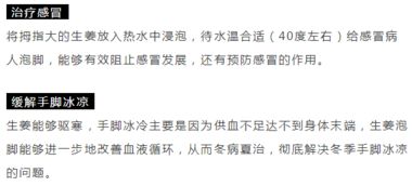 案例分析：历史实例与当代观察