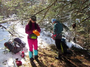 第二天：绝望的盆景园与2900营地