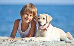 2026年属狗的吴姓和徐姓宝宝如何起名？有没有起名大全推荐？